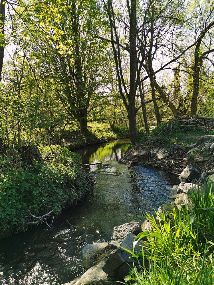 Muehlheim Umgebung